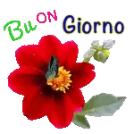 viber ##
