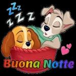 zzz
ZZZ
Buona Notte