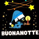 notte 