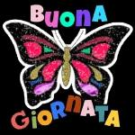 Buen Fin de Semana