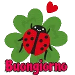buon di