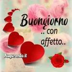  Buongiorno