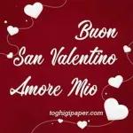 Sei il mio amore per sempre 