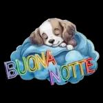 BuonAnotte