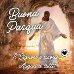 auguri Buona Pasqua auguri auguri auguri auguri