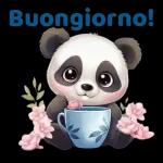 Buongiorno