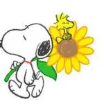 ずっと使える毎日ことば?