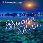 Buona notte