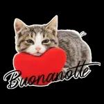 Buona notte!