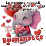 buona notte
