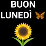 Buona settimana👀