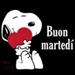 Chale
Buon
martedi