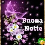 BUONA DOMENICA