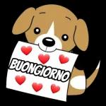 buongiorno bacioni 😚