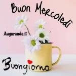 buongiorno