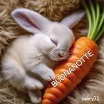 Buon pomeriggio