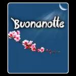 Love Story
Sogni
d'ovo
Love Story
Buona
Notte