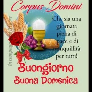 In c campagnon il cuore Corpus Domini JHS Che sia una giornata piena di pace e di  tranquilità per tutti! Buongiorno Buona Domenica - getsticker.com