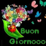 Buonanotte!!
Augurando.it
