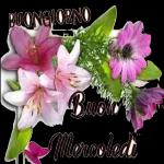 BUONGIORNO
Buon
Mercoledi