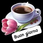 Buongiorno