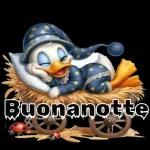 f DI CAPODANNO! BUONA VIGILIA