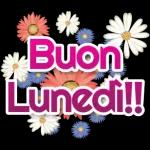 Buon lunedi