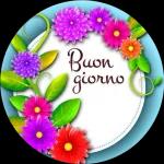 Buonanotte
SOGNI D'ORO
