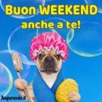 happy weekend 💐
