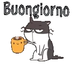 Un grande pacco regalo è arrivato🎁✨