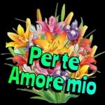 Ti adoro，mio amore