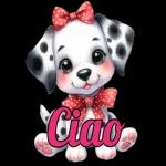 CHE STANCHEZZA AMICI!  BUONANOTTE