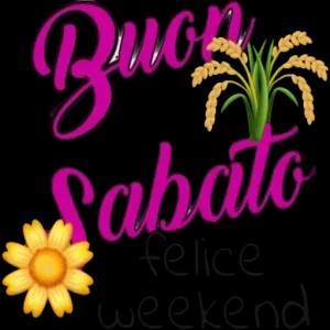 Buon Sabato felice weekend - getsticker.com