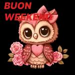 Buon notte