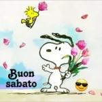 felice sabato💐