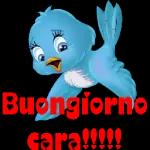 Cose da fare oggi... NIENTE! Laund COMPA BUON POMERIGGIO FEECL