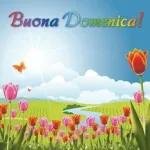 BUONA DOMENICA