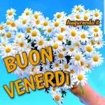 Buona settimana👀