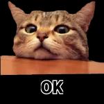 Buongiorno Di Cuore
A Tutti Voi Amici
Felice Giovedi