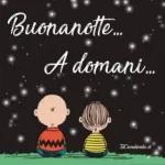 buona notte