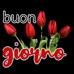 buongiorno