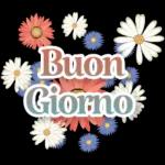 BUONGIORNO!