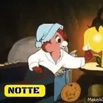 Vola Buongiorno