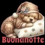 Buonanotte 😴