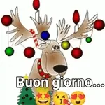 Buongiorno!!! toghigipaper.com