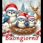 Buon Natale