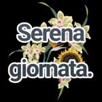 serena giornata