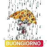 NOTTE DORMI, DORMI... E SOGNI D'ORO