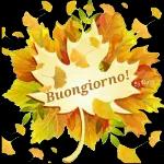 autunno 
