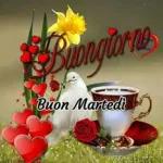 buon martedì  a tutti